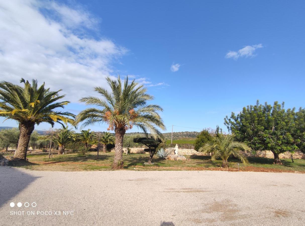 Cálig Finca Tierra Roja מראה חיצוני תמונה