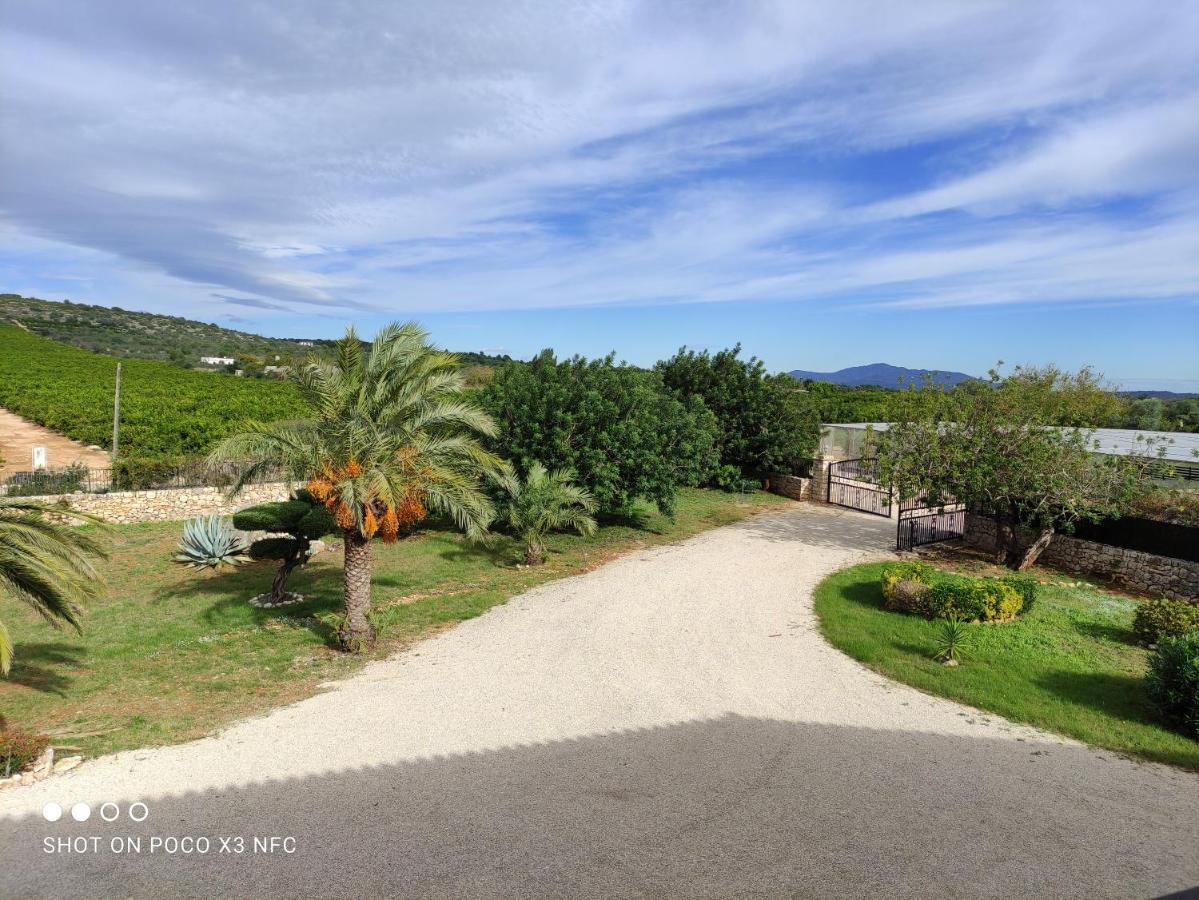 Cálig Finca Tierra Roja מראה חיצוני תמונה